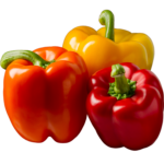 Bell-Pepper